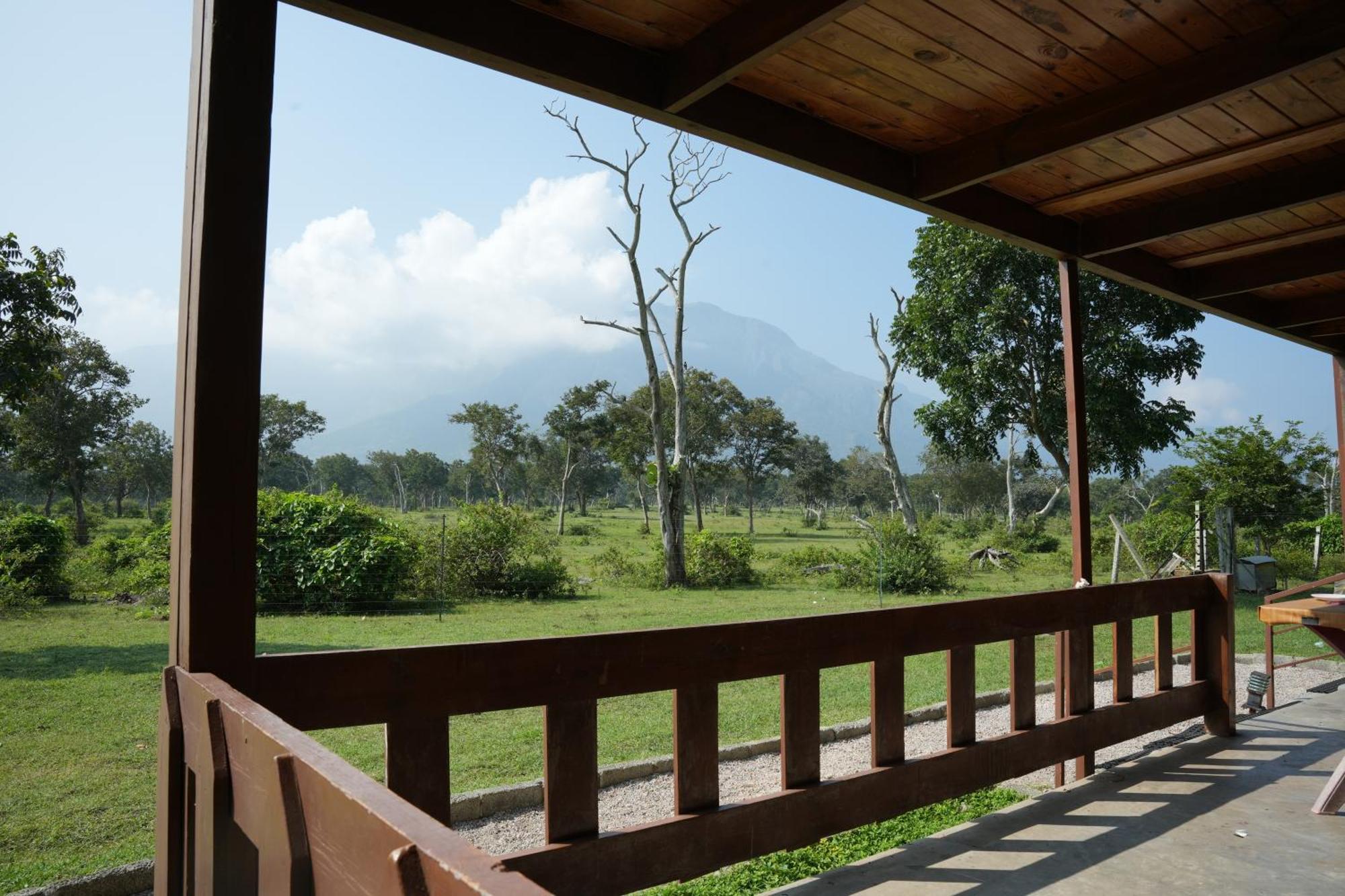 Labdhi Resorts Masinagudi- Stag Groups Not Allowed Eksteriør billede
