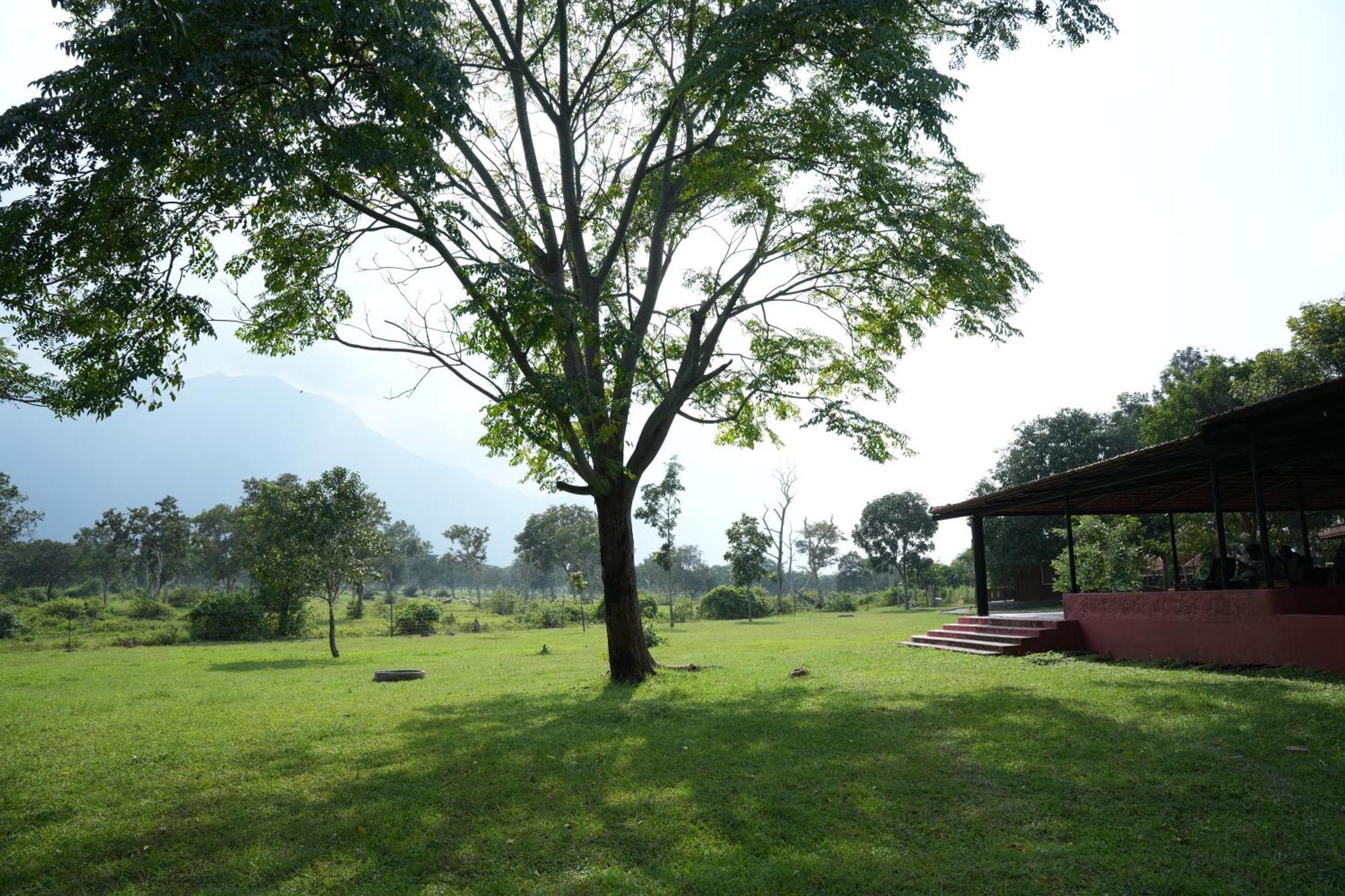 Labdhi Resorts Masinagudi- Stag Groups Not Allowed Eksteriør billede